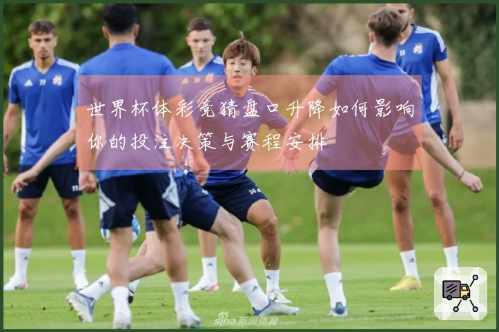 世界杯体彩竞猜盘口升降如何影响你的投注决策与赛程安排