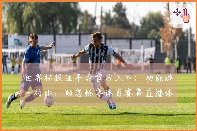世界杯投注平台官方入口：功能逐一对比，助您畅享体育赛事直播体验