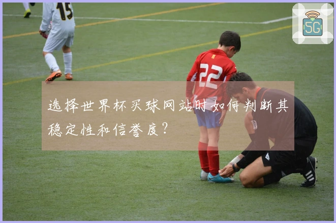 选择世界杯买球网站时如何判断其稳定性和信誉度?