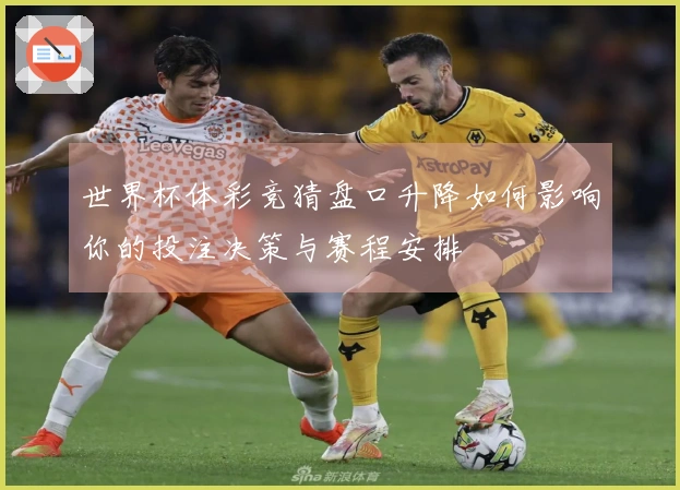 世界杯体彩竞猜盘口升降如何影响你的投注决策与赛程安排