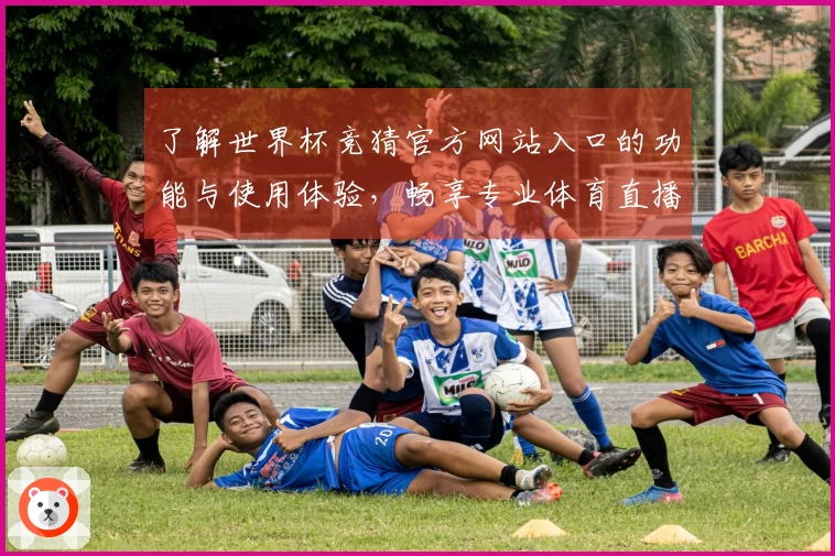 了解世界杯竞猜官方网站入口的功能与使用体验，畅享专业体育直播服务