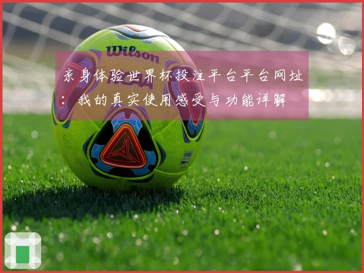 亲身体验世界杯投注平台平台网址：我的真实使用感受与功能详解