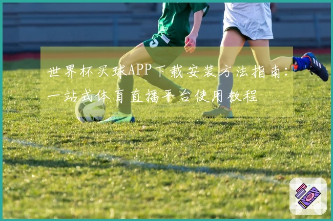 世界杯买球APP下载安装方法指南：一站式体育直播平台使用教程