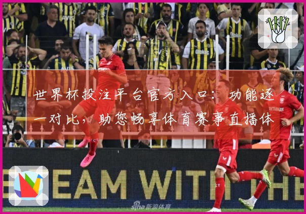 世界杯投注平台官方入口：功能逐一对比，助您畅享体育赛事直播体验