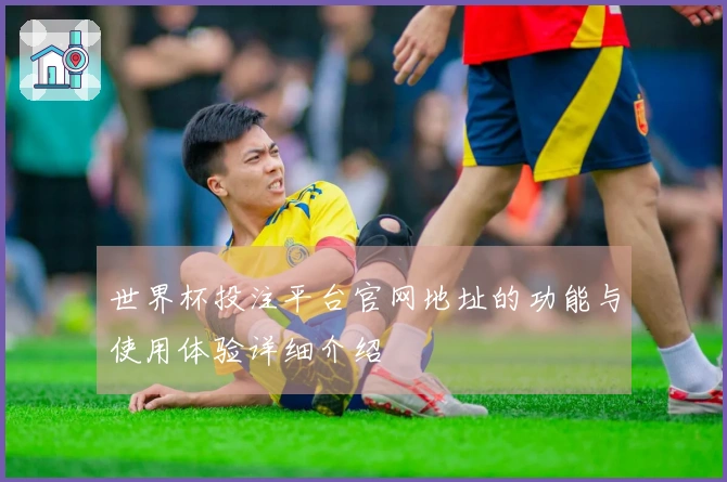 世界杯投注平台官网地址的功能与使用体验详细介绍