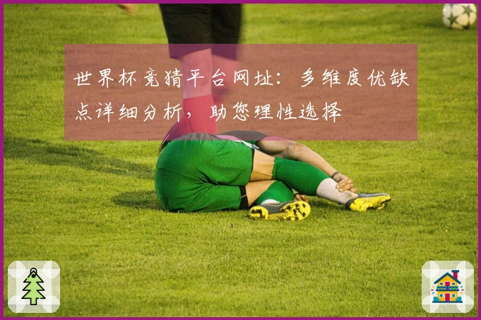 世界杯竞猜平台网址：多维度优缺点详细分析，助您理性选择